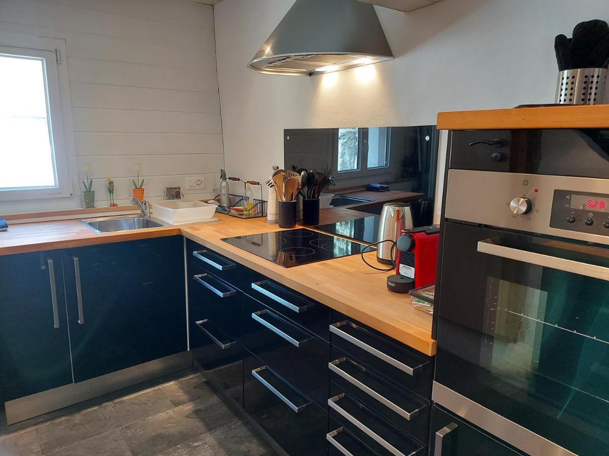 Appartement Voute En Gruyere Dans L'Intyamon Enney Zewnętrze zdjęcie